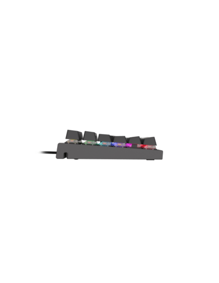 GENESIS THOR 300 RGB teclado Juego USB QWERTY Inglés Negro