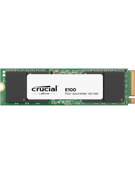 Crucial E100 2 TB M.2 PCI Express 4.0 NVMe