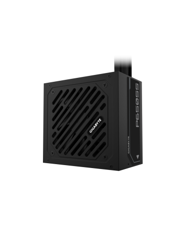 GIGABYTE P650SS unidad de fuente de alimentación 650 W 20+4 pin ATX ATX Negro