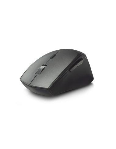 Ewent EW3245 ratón Oficina mano derecha RF inalámbrico Óptico 2400 DPI