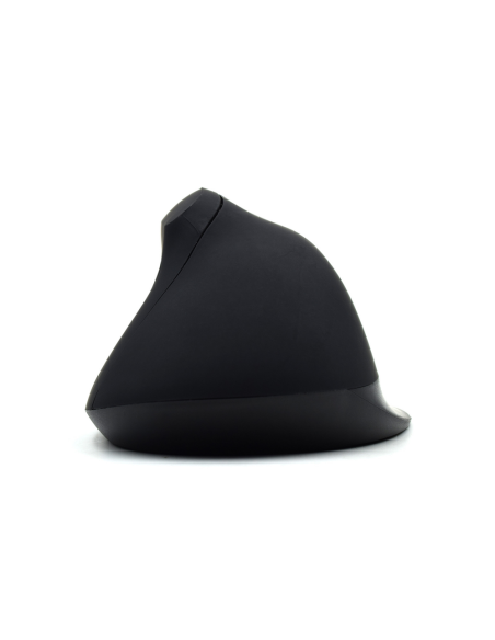 Ewent EW3158 ratón Oficina mano derecha RF inalámbrico 1600 DPI