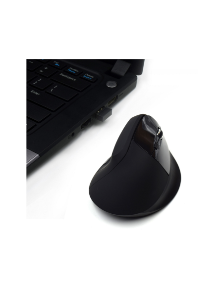 Ewent EW3158 ratón Oficina mano derecha RF inalámbrico 1600 DPI