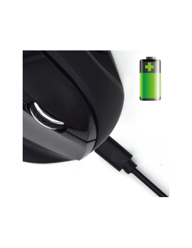 Ewent EW3158 ratón Oficina mano derecha RF inalámbrico 1600 DPI