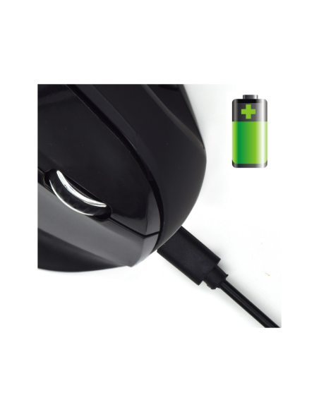 Ewent EW3158 ratón Oficina mano derecha RF inalámbrico 1600 DPI