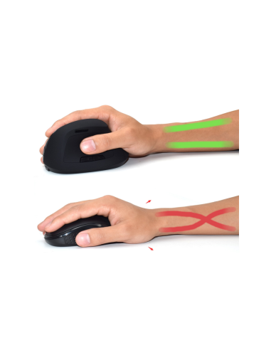 Ewent EW3158 ratón Oficina mano derecha RF inalámbrico 1600 DPI