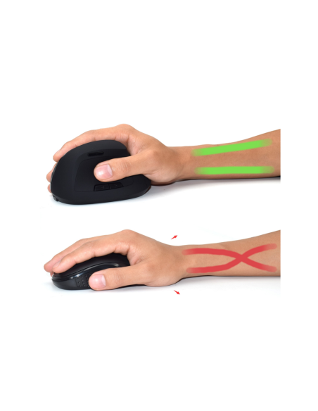 Ewent EW3158 ratón Oficina mano derecha RF inalámbrico 1600 DPI