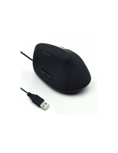 Ewent EW3157 ratón mano derecha USB tipo A Óptico 1800 DPI