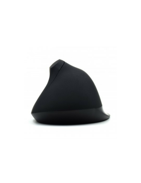 Ewent EW3157 ratón mano derecha USB tipo A Óptico 1800 DPI