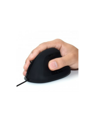 Ewent EW3157 ratón mano derecha USB tipo A Óptico 1800 DPI