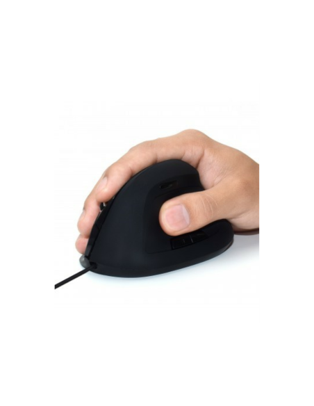 Ewent EW3157 ratón mano derecha USB tipo A Óptico 1800 DPI