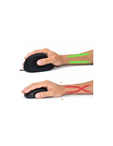 Ewent EW3157 ratón mano derecha USB tipo A Óptico 1800 DPI