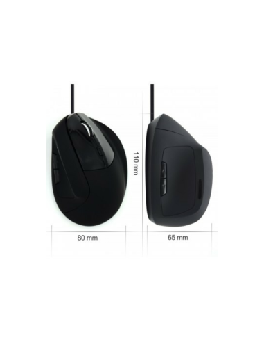 Ewent EW3157 ratón mano derecha USB tipo A Óptico 1800 DPI