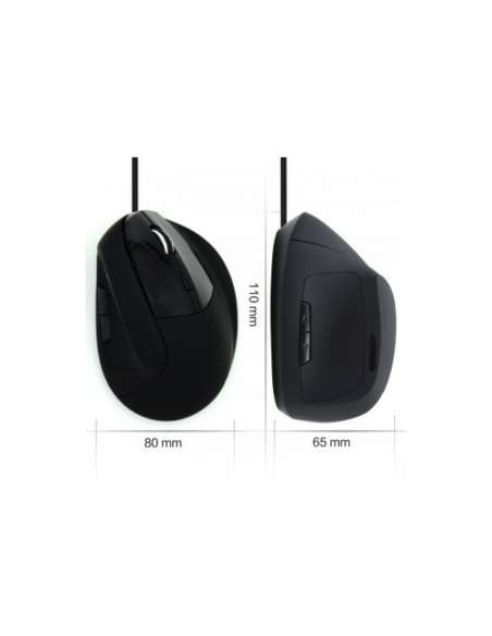 Ewent EW3157 ratón mano derecha USB tipo A Óptico 1800 DPI