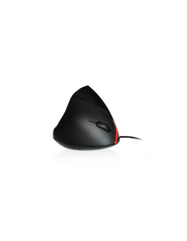 Ewent EW3156 ratón USB tipo A Óptico 1000 DPI