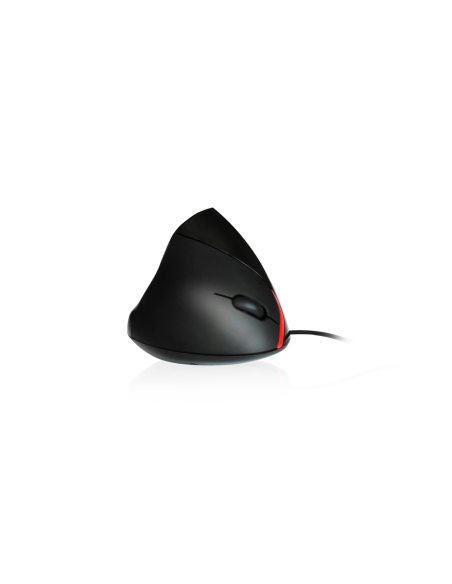 Ewent EW3156 ratón USB tipo A Óptico 1000 DPI