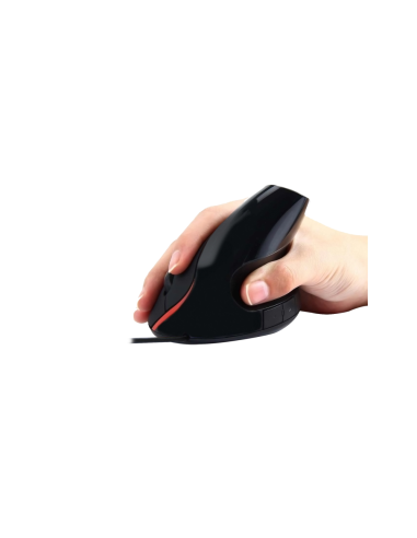 Ewent EW3156 ratón USB tipo A Óptico 1000 DPI