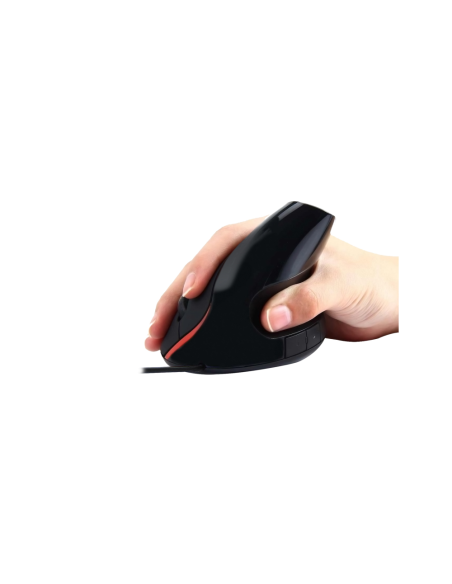 Ewent EW3156 ratón USB tipo A Óptico 1000 DPI