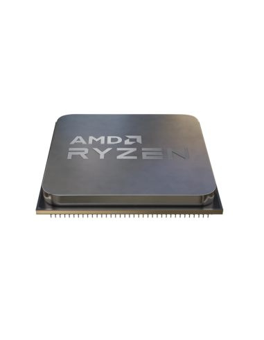AMD Ryzen 5 5500 procesador 3,6 GHz 16 MB L3 Caja