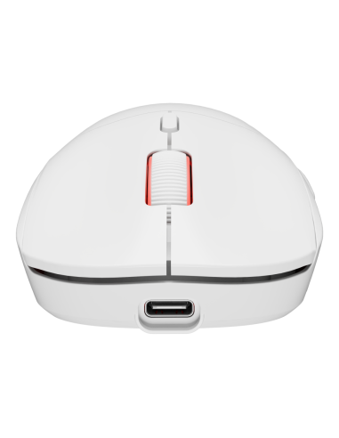 GENESIS Zircon XIII ratón Juego Ambidextro RF Wireless + USB Type-C Óptico 26000 DPI