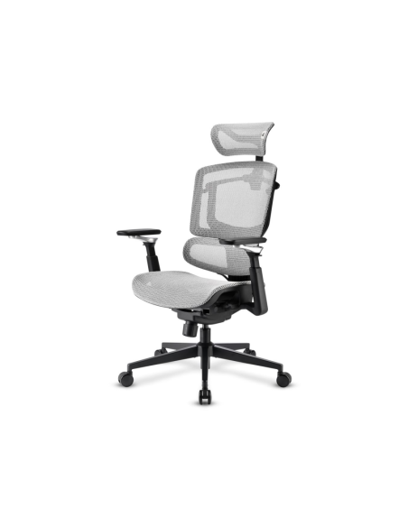 Sharkoon OfficePal C50M Asiento acolchado Respaldo de rejilla