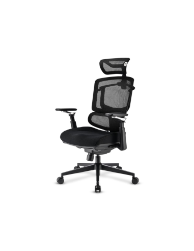 Sharkoon OfficePal C50 Asiento acolchado Respaldo de rejilla