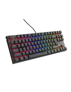 GENESIS Thor 303 TKL teclado Juego USB QWERTY Español Negro