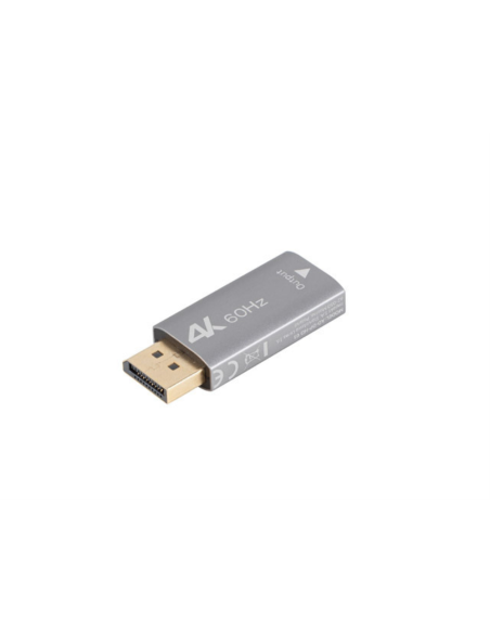 Lanberg AD-DP-HD-01 adaptador de cable de vídeo 0 m HDMI tipo A (Estándar) DisplayPort Plata