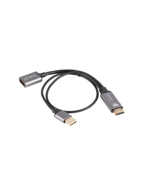 Lanberg AD-HD-DP-02 adaptador de cable de vídeo 0,2 m HDMI tipo A (Estándar) DisplayPort Plata