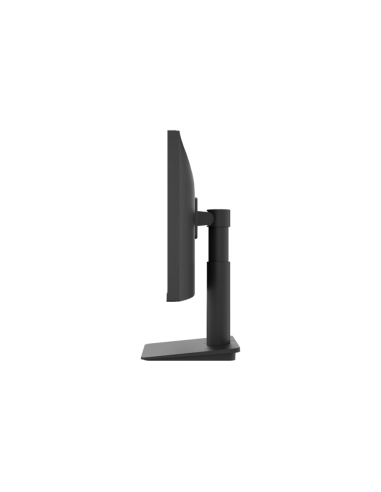 LG 25MS550-B pantalla para PC 62,2 cm (24.5") 1920 x 1080 Pixeles Full HD LED Negro