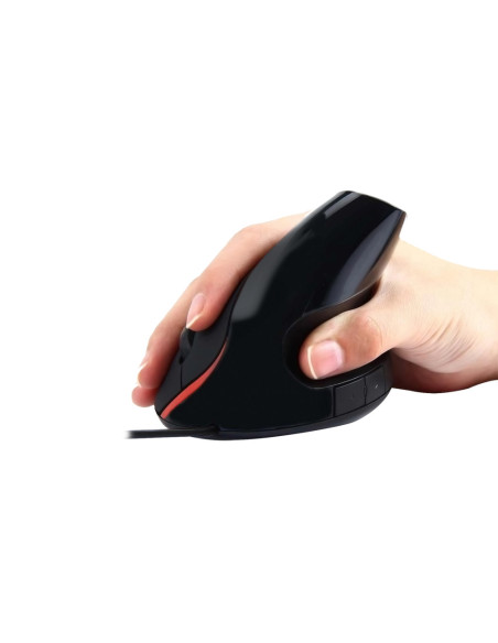 Ewent EW3156 ratón mano derecha USB tipo A Óptico 1000 DPI