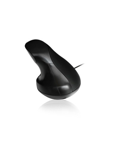 Ewent EW3156 ratón mano derecha USB tipo A Óptico 1000 DPI