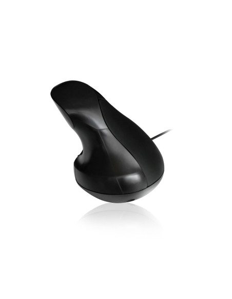 Ewent EW3156 ratón mano derecha USB tipo A Óptico 1000 DPI