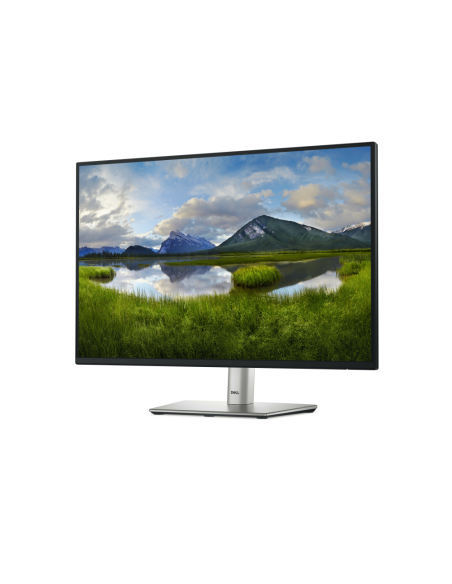 DELL Pro Plus P2425 pantalla para PC 61,1 cm (24.1") 1920 x 1200 Pixeles WUXGA LCD Negro