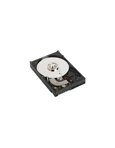 DELL NPOS - to be sold with Server only - 1TB 7.2K RPM SATA 6Gbps 512n 3.5in Cabled Hard Drive