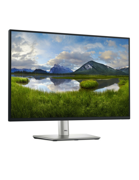 DELL Pro Plus P2425 pantalla para PC 61,1 cm (24.1") 1920 x 1200 Pixeles WUXGA LCD Negro