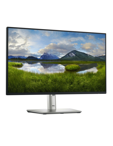 DELL Pro Plus P2425HE pantalla para PC 60,5 cm (23.8") 1920 x 1080 Pixeles Full HD LCD Negro