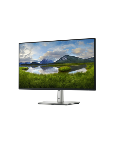 DELL Pro Plus P2425H pantalla para PC 60,5 cm (23.8") 1920 x 1080 Pixeles Full HD LCD Negro