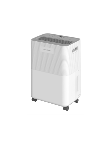 Cecotec BigDry 8000 2 L 17,5 dB 450 W Blanco