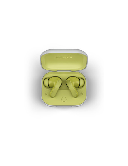 Motorola PG38C05790 auricular y casco Auriculares Inalámbrico Dentro de oído Llamadas/Música/Deporte/Uso diario Bluetooth Verde