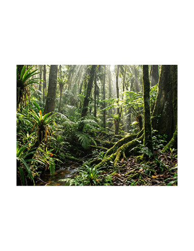 HP OmniStudio All-in-One Desktop 24-cu0043ns PC Intel Core 5 120U 60,5 cm (23.8") 1920 x 1080 Pixeles 16 GB DDR5-SDRAM 512 GB SS