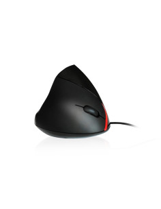 Ewent EW3156 ratón mano derecha USB tipo A Óptico 1000 DPI 2