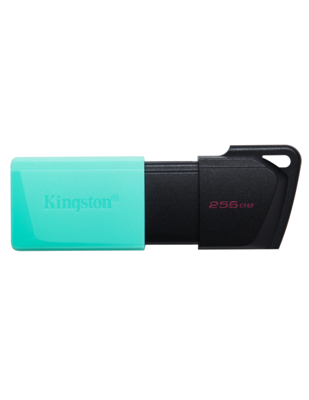 Kingston Technology DataTraveler 256GB USB3.2 Gen1 Exodia M (Negro + Turquesa)