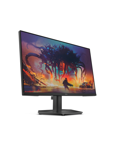 DELL SE2425HG pantalla para PC 61 cm (24") 1920 x 1080 Pixeles Full HD LCD Negro