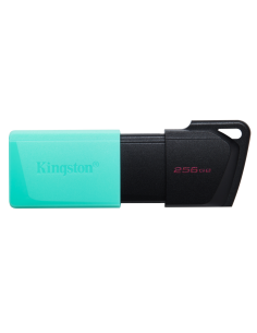 Kingston Technology DataTraveler 256GB USB3.2 Gen1 Exodia M (Negro + Turquesa)
