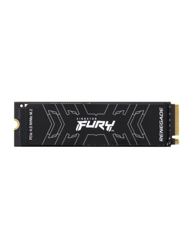 Kingston Technology 4000G FURY RENEGADE M.2 2280 NVMe SSD