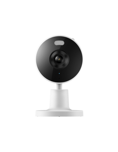 Xiaomi Smart Camera C100 Esférico Cámara de seguridad IP Interior 2304 x 196 Pixeles Techo/Pared/Escritorio