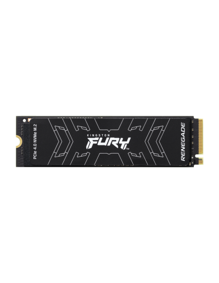 Kingston Technology 4000G FURY RENEGADE M.2 2280 NVMe SSD