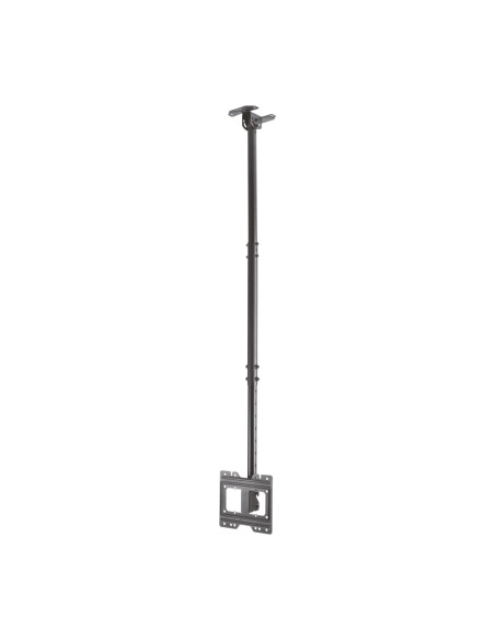AISENS Soporte de techo giratorio, inclinable, extensible para monitor/TV 50kg de 23”-43”, Negro