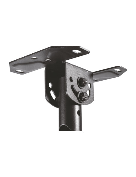 AISENS Soporte de techo giratorio, inclinable, extensible para monitor/TV 50kg de 23”-43”, Negro