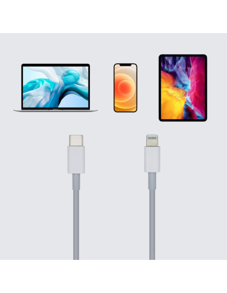 AISENS Cable USB 2.0 USB-? A Lightning PD 2A, Lightning/M-USB-?/M, Blanco, 20cm